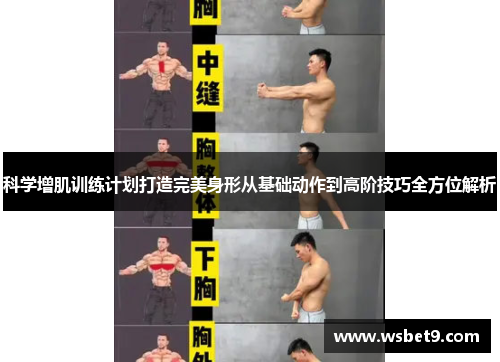 科学增肌训练计划打造完美身形从基础动作到高阶技巧全方位解析